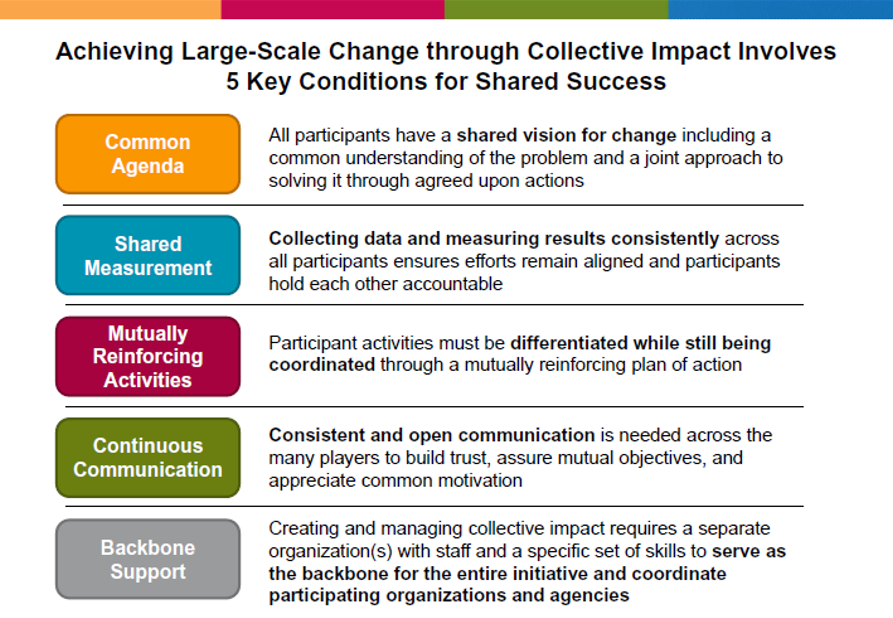 Large Scale Change through Collective Impact